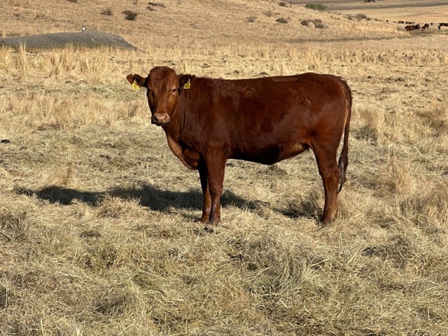 WhatsApp Image 2023-09-08 at 17.44.50 Medium