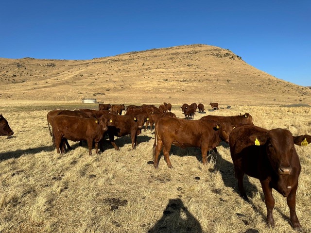 WhatsApp Image 2023-09-08 at 17.44.52 Medium