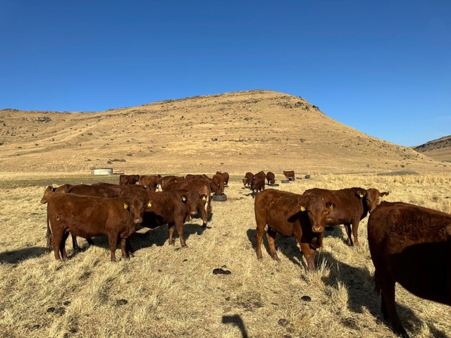 WhatsApp Image 2023-09-08 at 17.44.54 Medium